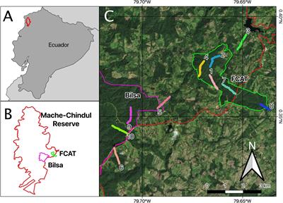 Functional Traits, Species Diversity and Species - Frontiers